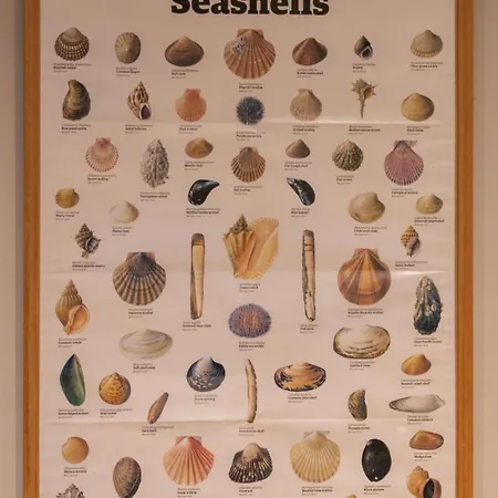 Meadowcroft * 罗宾胡兹贝